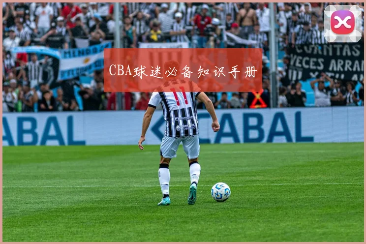 CBA球迷必备知识手册